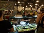 Public space Market Marketplace Plant City